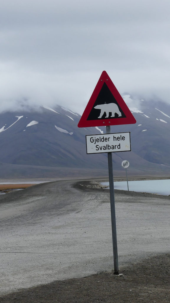 Grands Espaces - panneau ours Longyearbyen