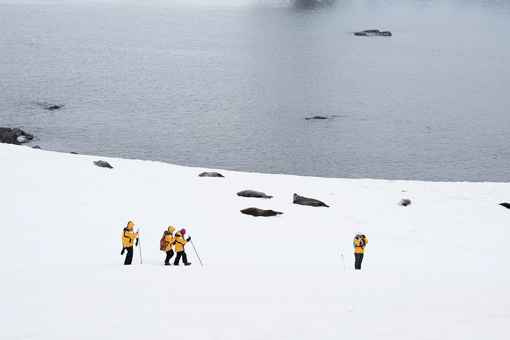 marche sur la banquise antarctique