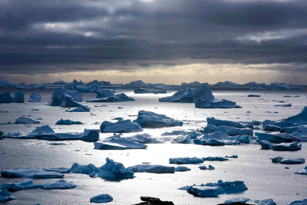 Icebergs Groenland