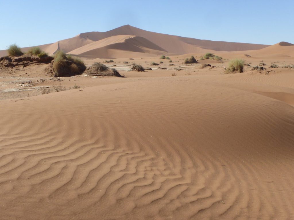 Circuit Afrique dune
