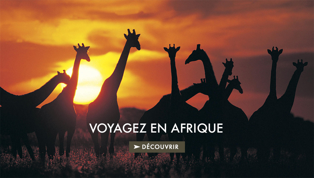 Circuits Afrique