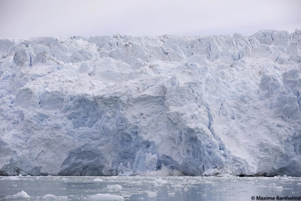 Grands Espaces - Glacier de Monaco - Croisière Spitzberg