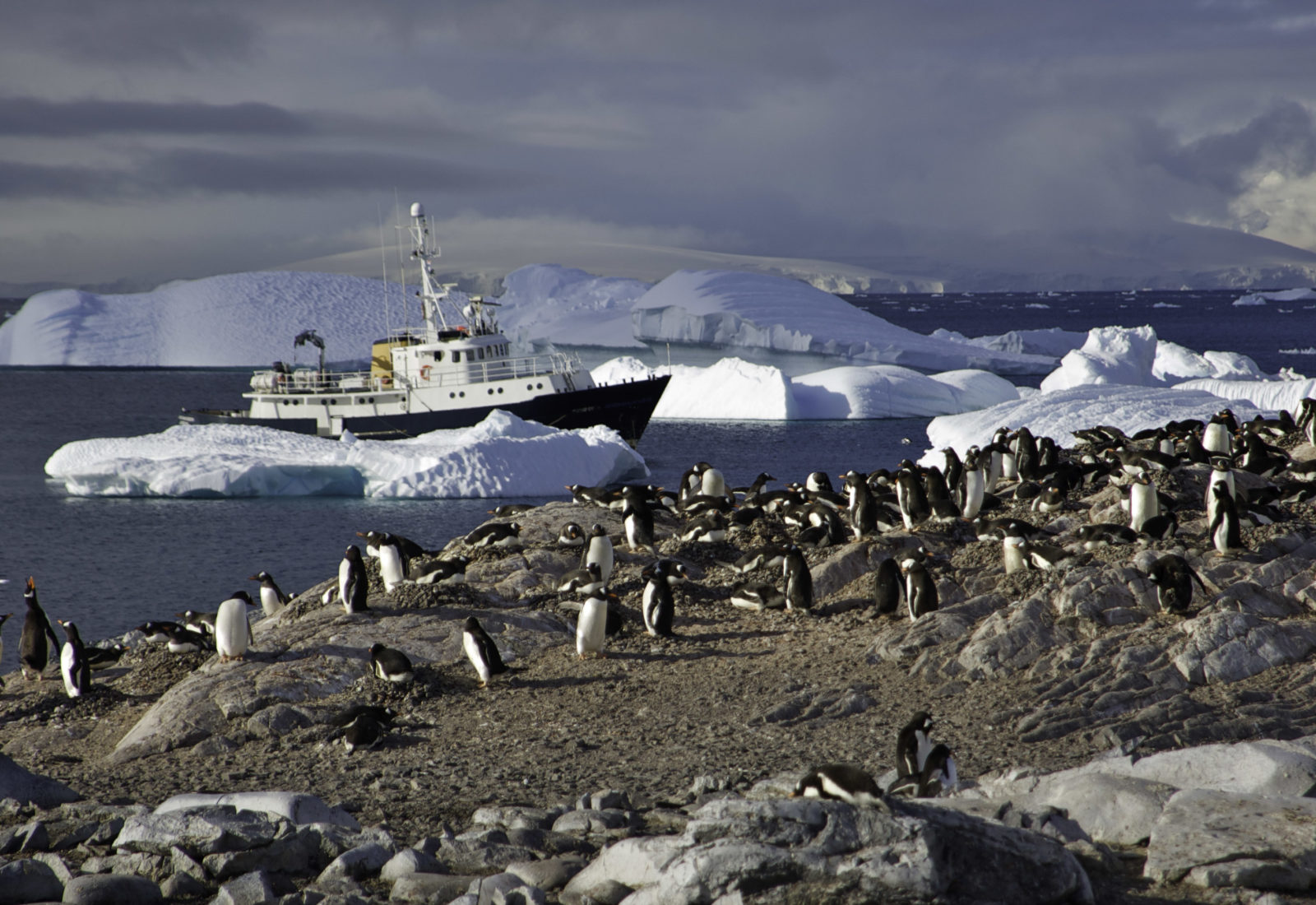 Navire polaire Hans Hansson en Antarctique