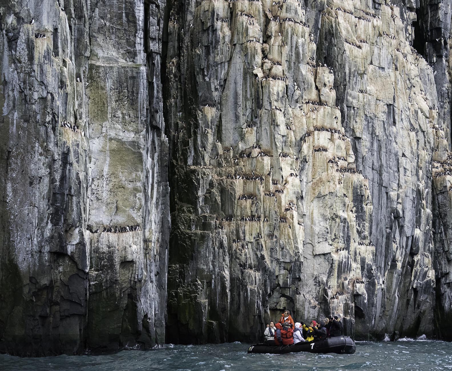 Alkefjellet falaise d'oiseaux - croisière Spitzberg