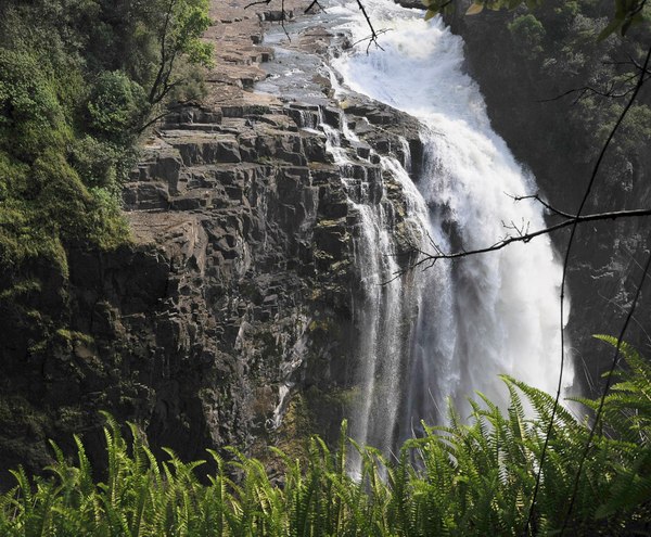 Grands Espaces - Afrique Australe