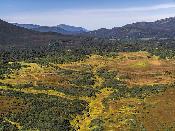 Grands espaces - kamchatka