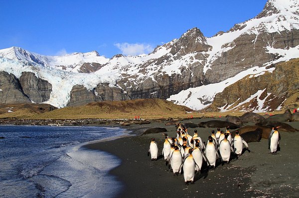 Grands Espaces - Antarctique