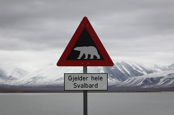 Longyearbyen - Panneau - Croisière Spitzberg