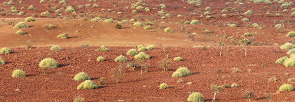 Grands Espaces - Namibie