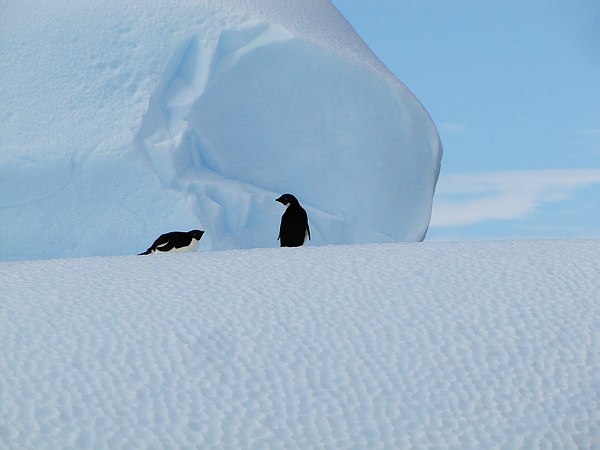 Grands Espaces - Antarctique