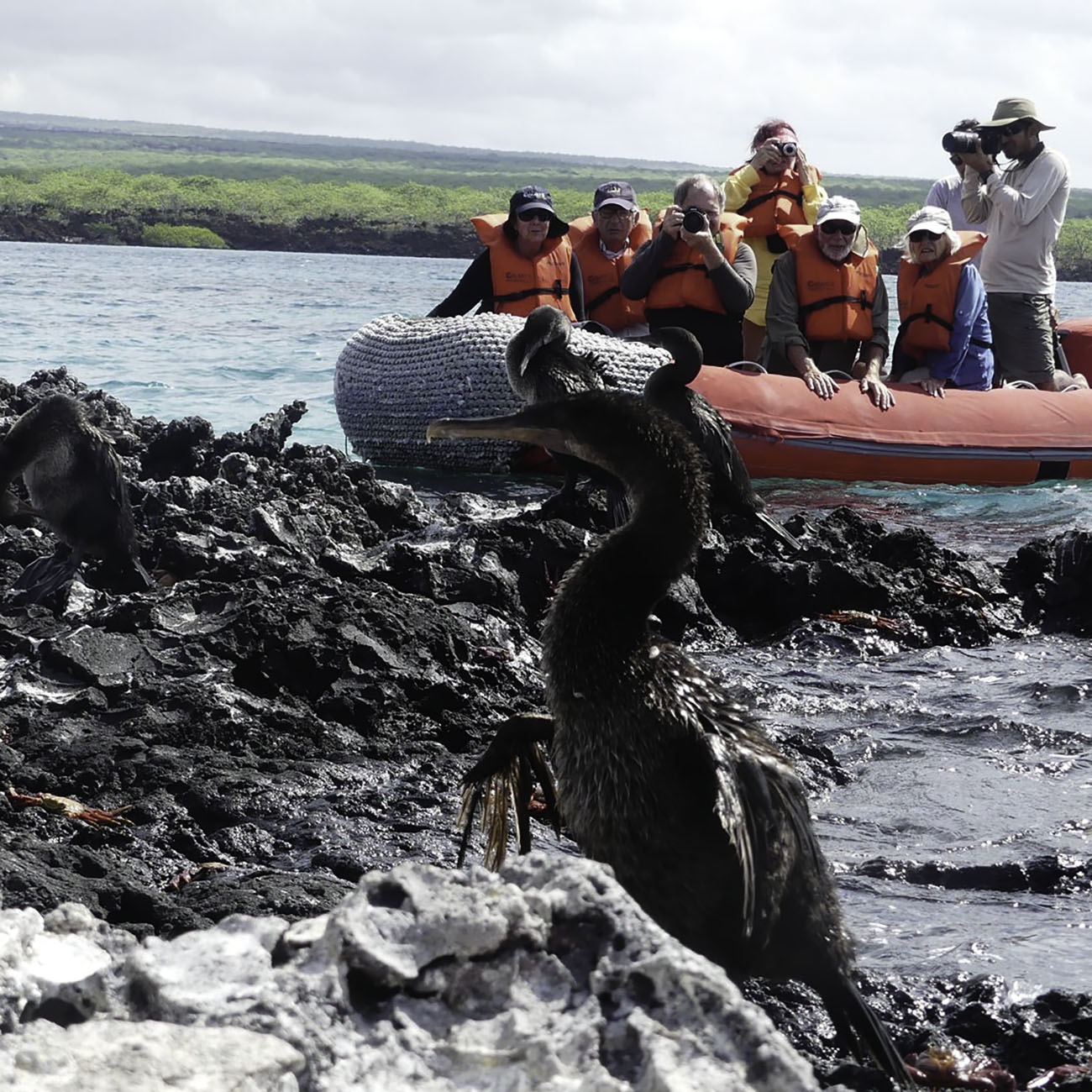 Grands Espaces Croisière Galapagos