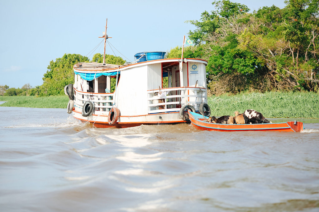 Grands Espaces - Amazonie