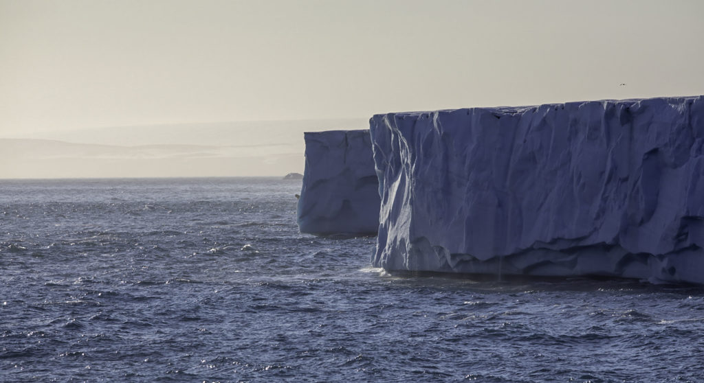 Brasvelbreen