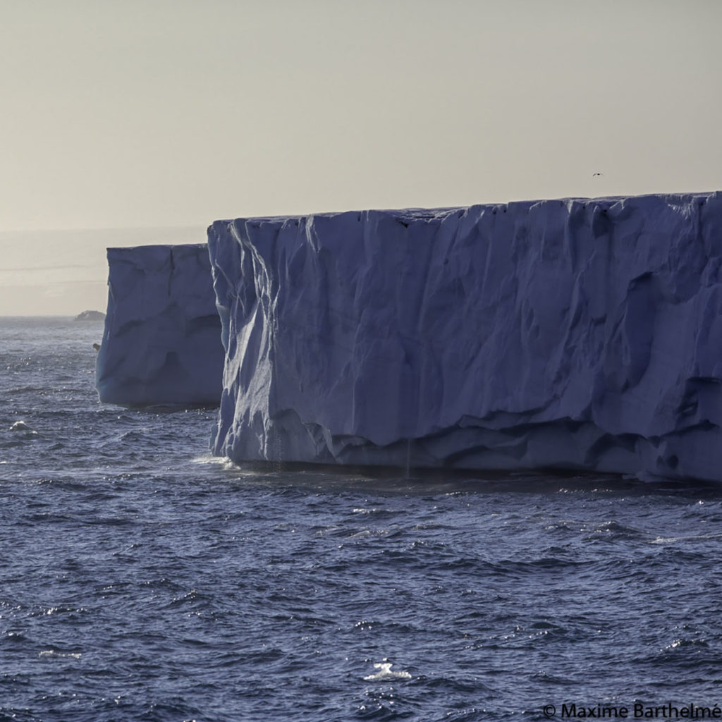 Brasvellbreen - Croisière Spitzberg