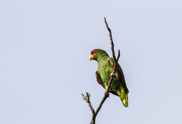 Grands Espaces - Costa Rica