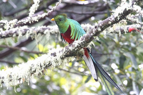 Grands Espaces - Costa Rica