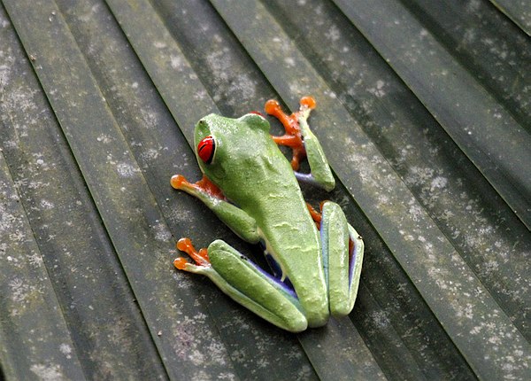 Grands Espaces - Costa Rica