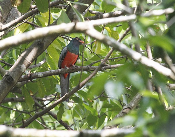 Grands Espaces - Costa Rica