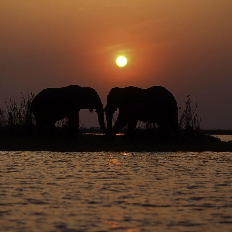 Grands Espaces - Namibie