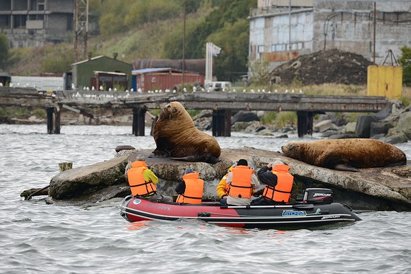 Grands Espaces - Kamchatka