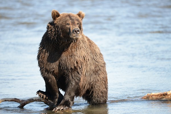 Grands Espaces - Kamchatka