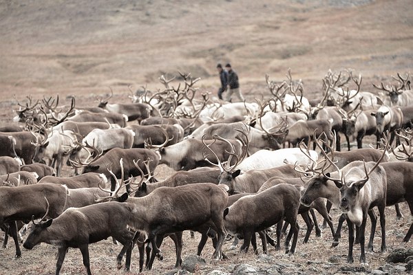 Grands Espaces - Kamchatka