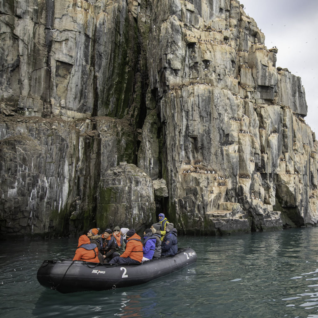 Croisière zodiac observation Alkefjelet