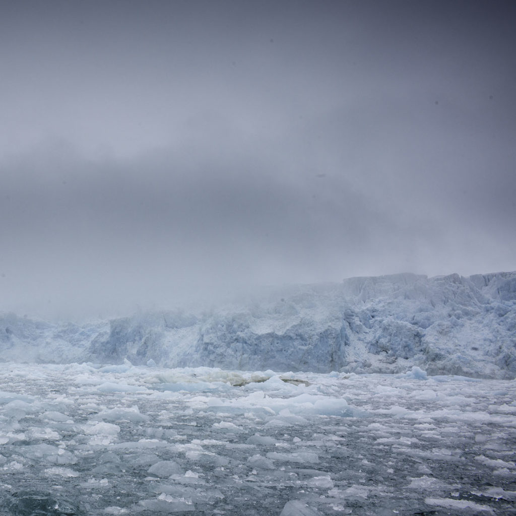 Observation Glacier - Croisière Spitzberg