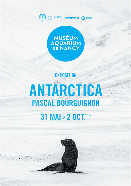 croisières antarctique
