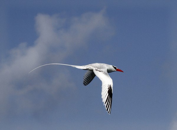 Grands Espaces - Galapagos