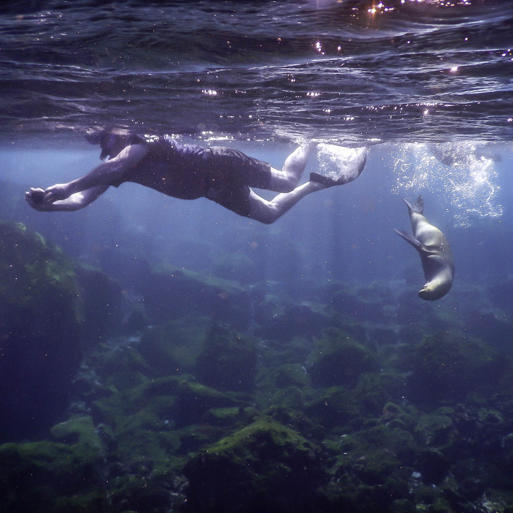 Grands Espaces - Galapagos