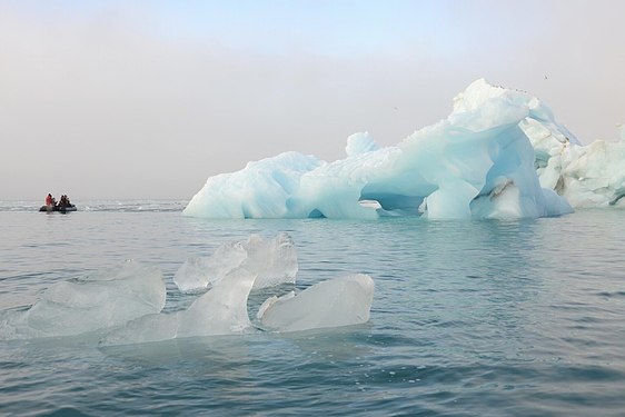 Croisière icebergs