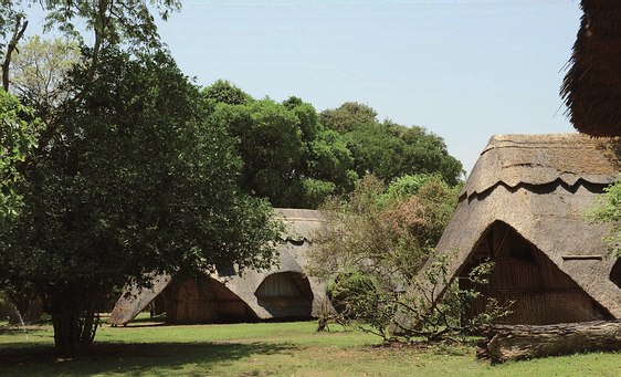 lodge safari