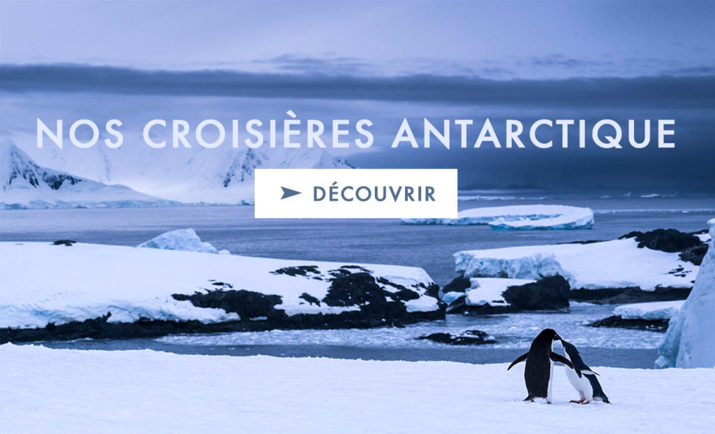 Croisieres Antarctique