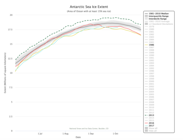 banquise antarctique