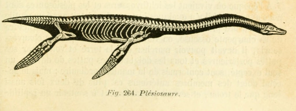 plesiosaure arctique