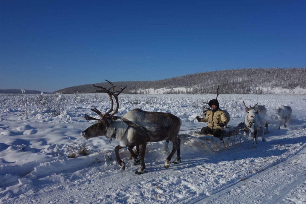 Voyage Sibérie promenade renne