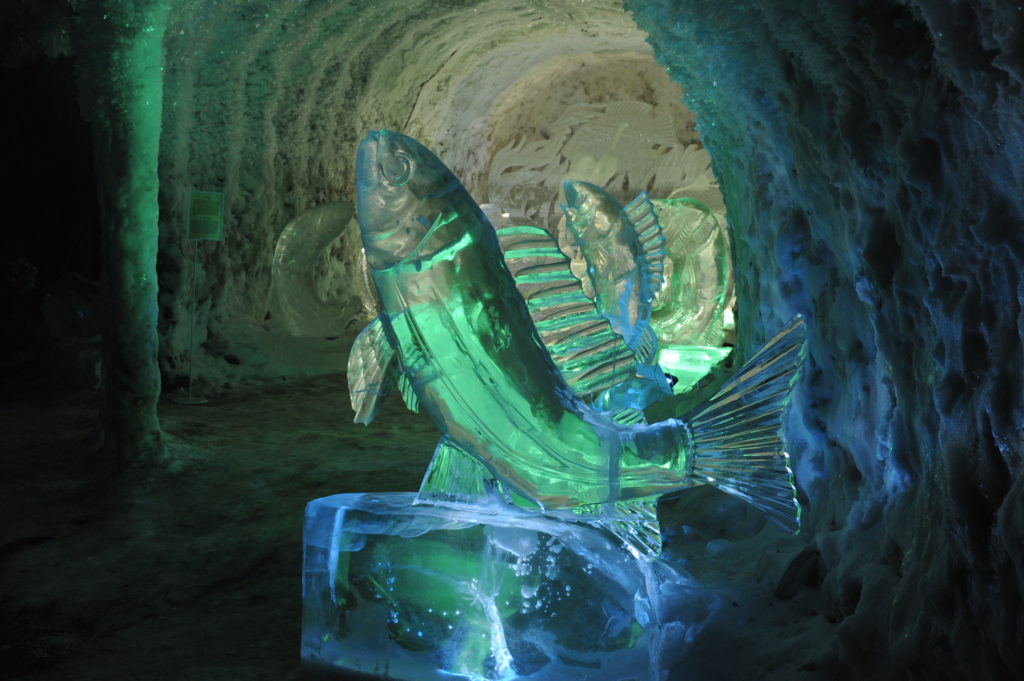 Circuit Sibérie sculpture poissons glaces