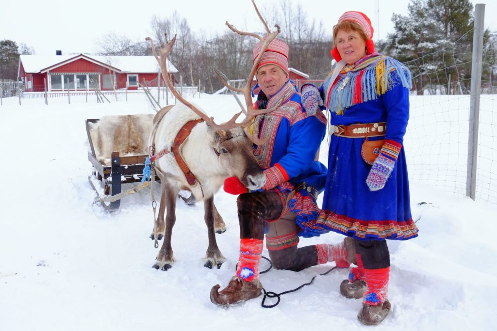 Norvege Laponie Sami renne