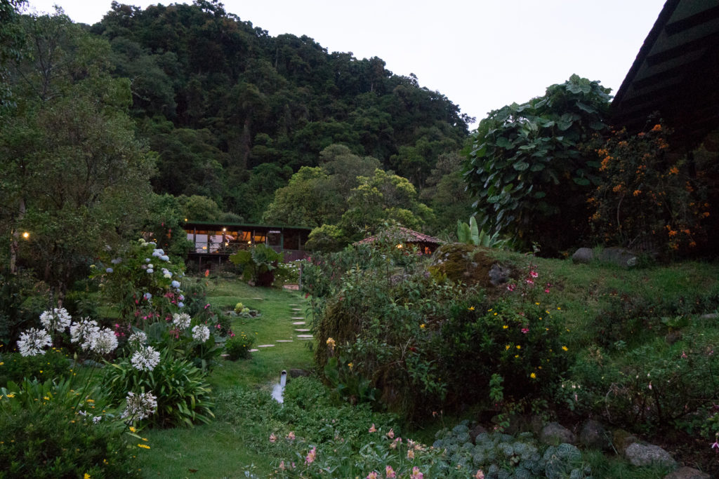 Circuit Costa-Rica forêt