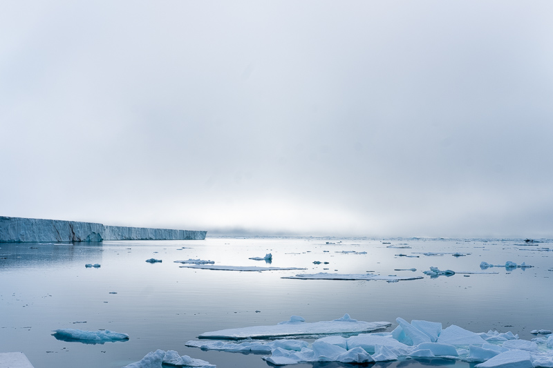 Brasvelbreen Austfauna - Croisière Spitzberg