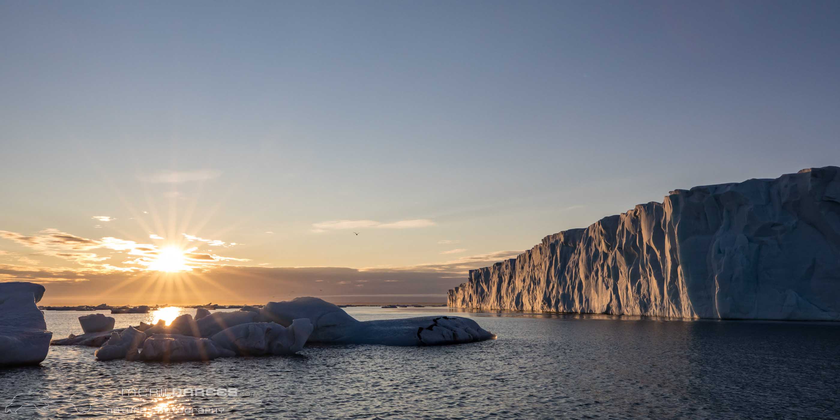 Brasvelbreen Terre du Nord Est Spitzberg