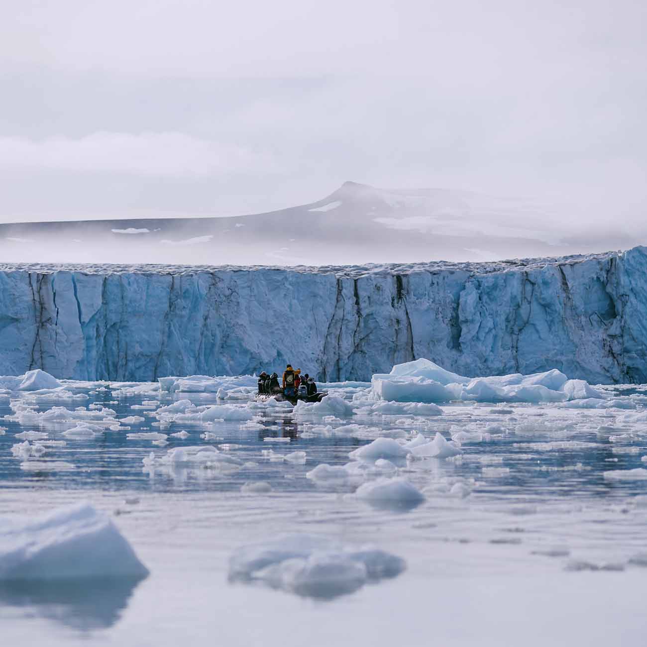 Glacier de Negribreen Svalbard