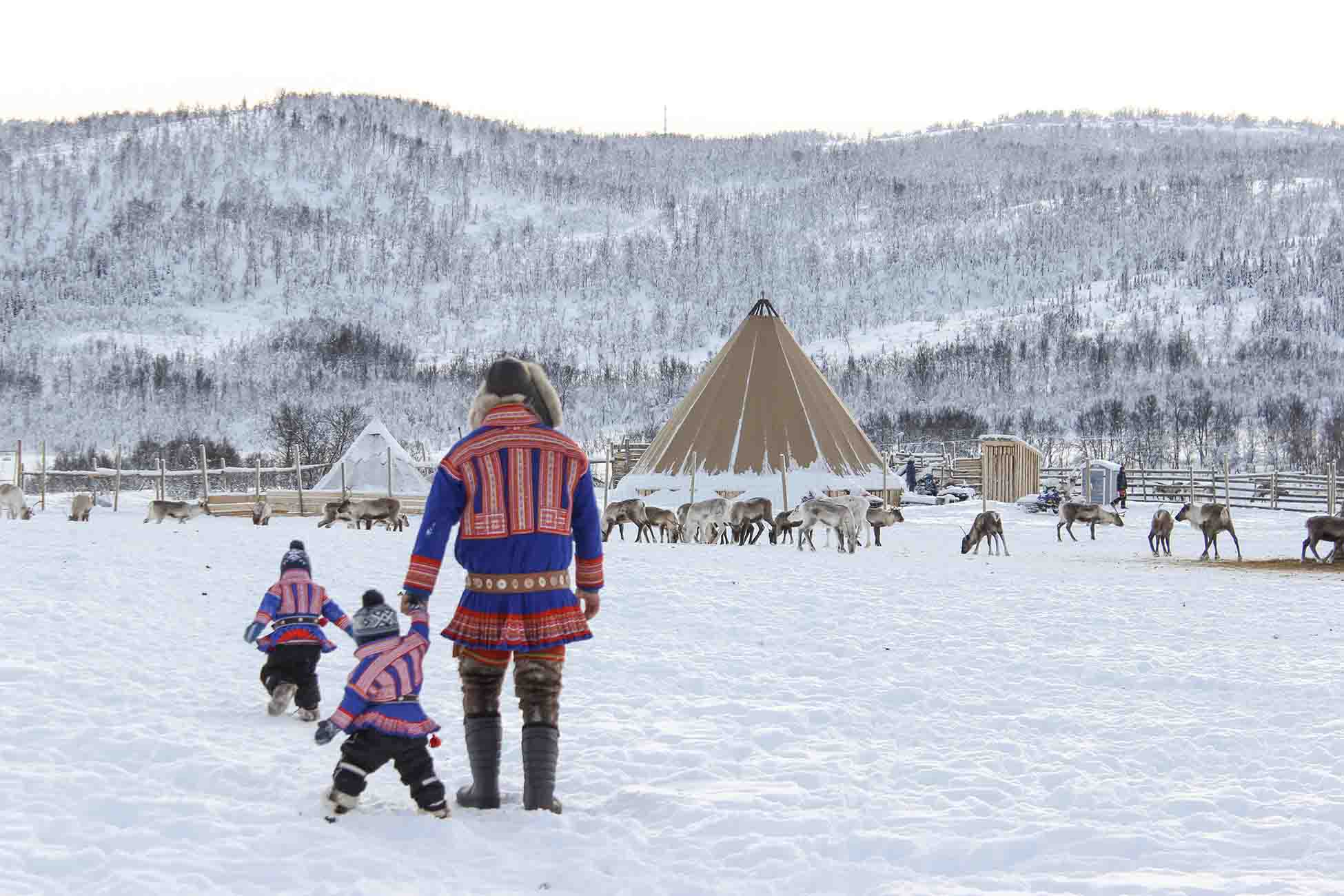 Rencontre avec les samis - croisière Laponie