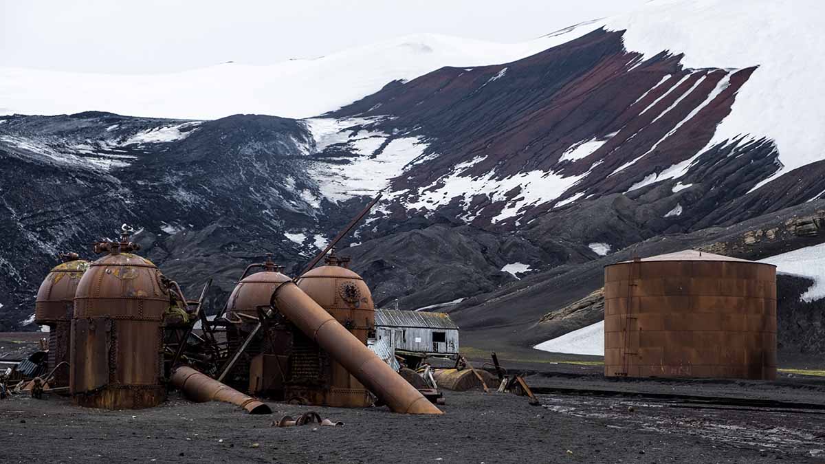 Whalers Bay - Croisière Antarctique