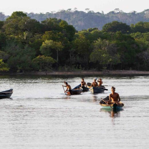Voyage découverte Amazonie