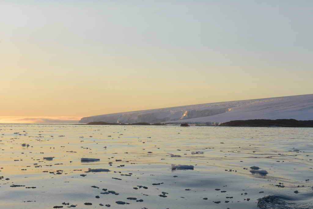 Découverte de île blanche au Spitzberg