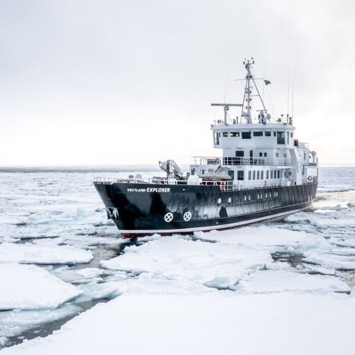 Grand Explorer