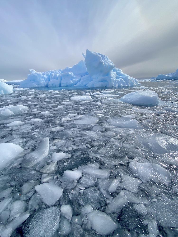 Iceberg Antarctique