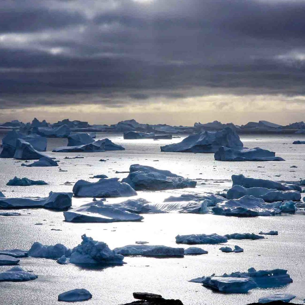 Champ d'icebergs au Groenland